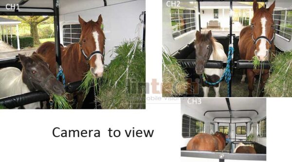 Wired Backup Camera System: LRV-07 For Horse Trailer Rearview - Image 2