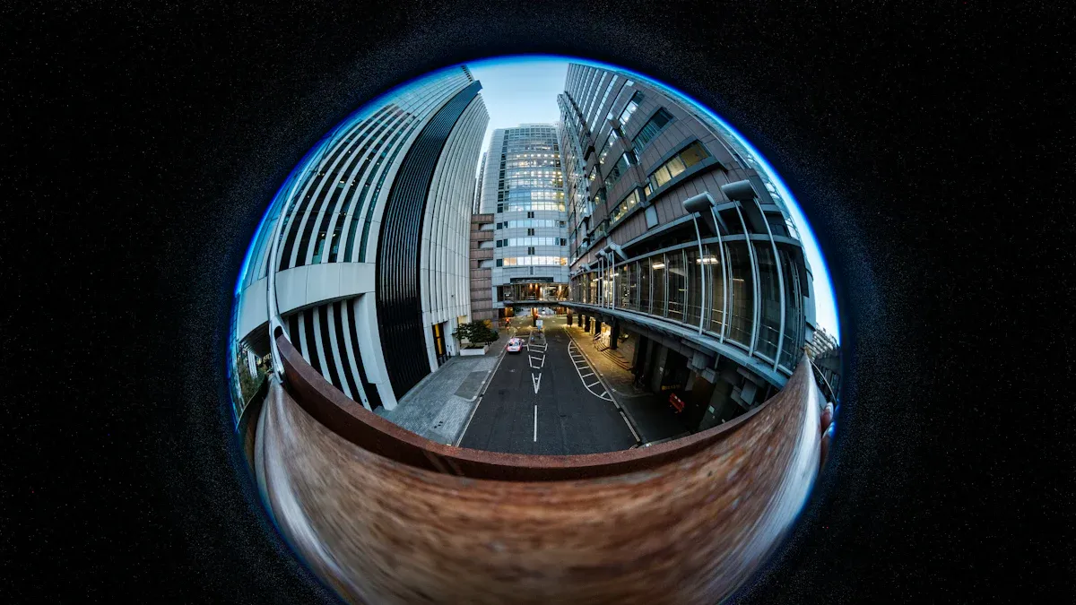 How 360° Bird'
                style=
